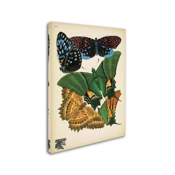 Vintage Apple Collection 'Papillons 6' Canvas Art,14x19